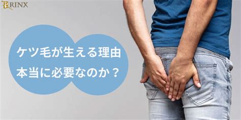 けつ毛はなぜ生えてくるのか？けつ毛の必要性と処理。